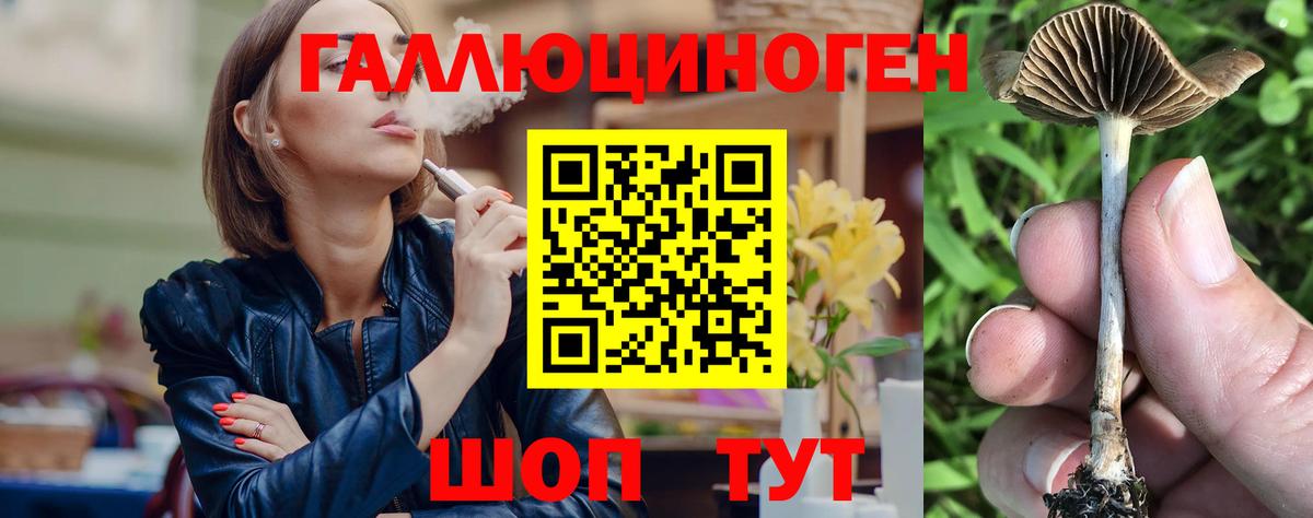 Галлюциногенные грибы Psilocybine cubensis Реутов